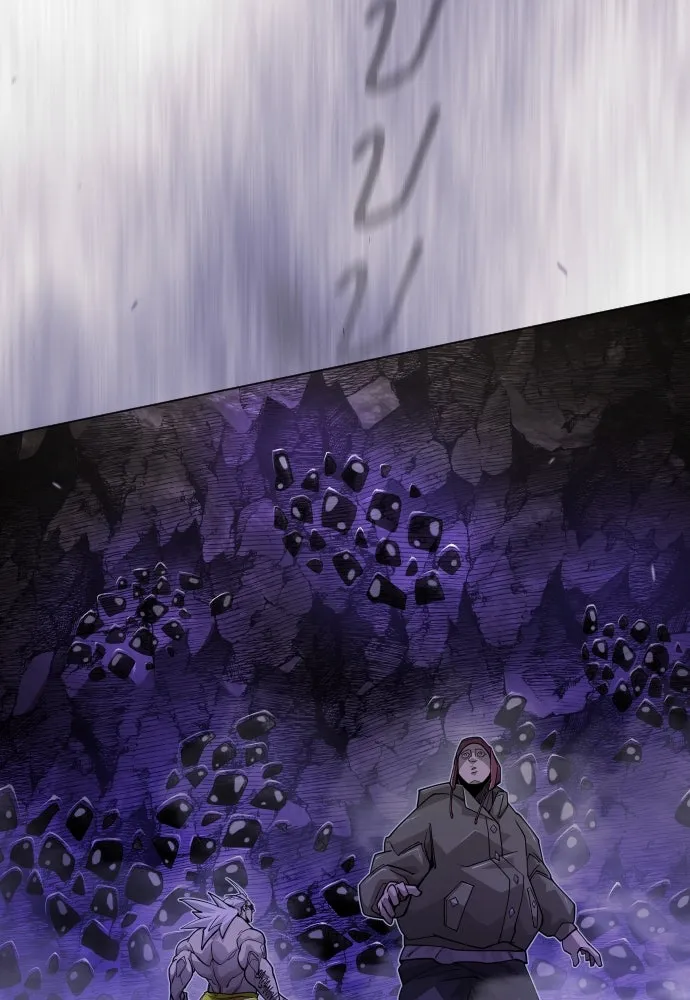 Page 217