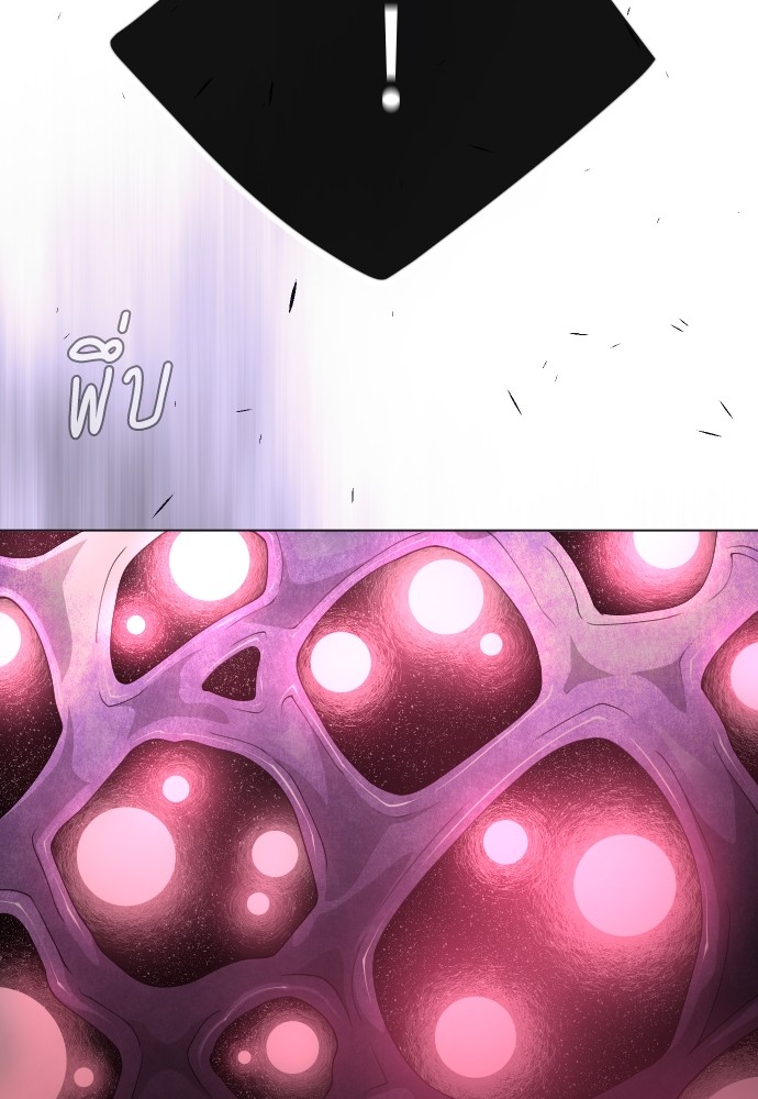 Page 244