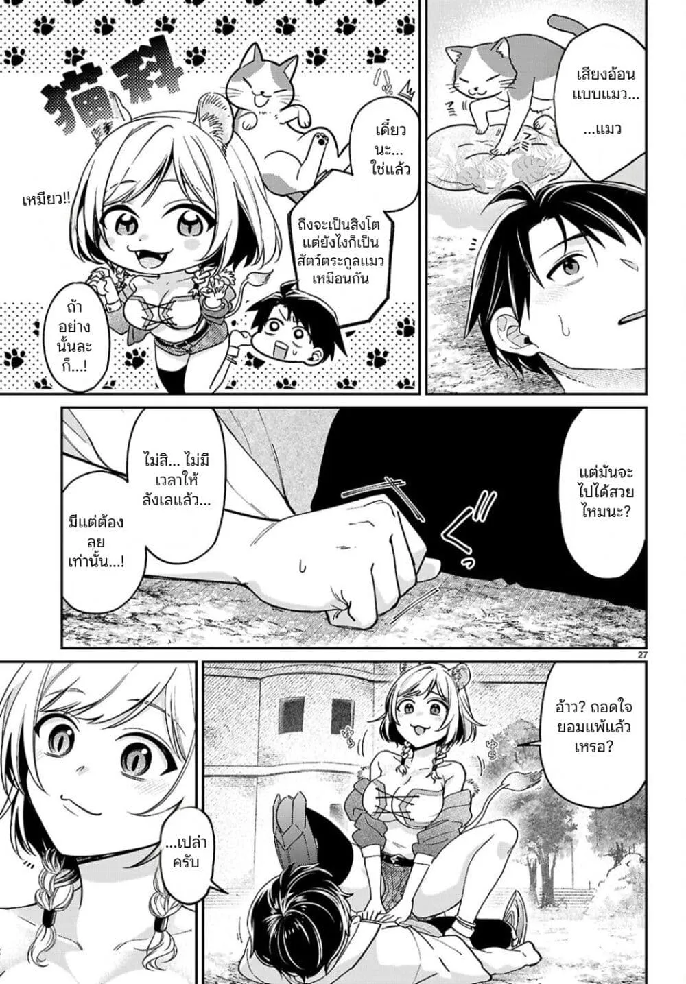 Page 27